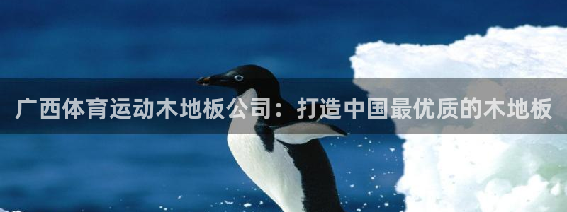 熊猫体育官网：广西体育运动木地板公司：打造中国最优质的木地板