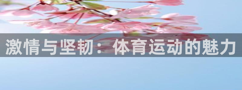 熊猫体育网址：激情与坚韧：体育运动的魅力