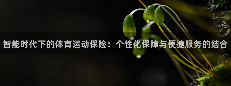 熊猫体育app官方入口：智能时代下的体育运动保险：个性化保障与便捷服务的结合