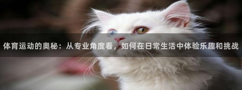 熊猫体育nba：体育运动的奥秘：从专业角度看，如何在日常生活中体验乐趣和挑战