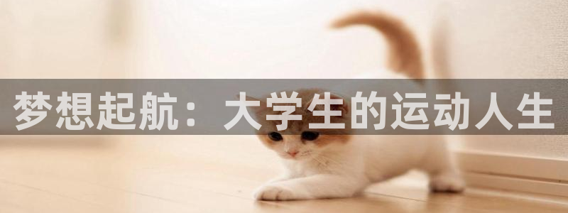 熊猫体育直播nba：梦想起航：大学生的运动人生